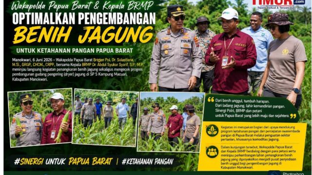 Wakapolda Papua Barat dan Kepala BRMP Optimalkan Pengembangan Benih Jagung untuk Ketahanan Pangan Papua Barat.